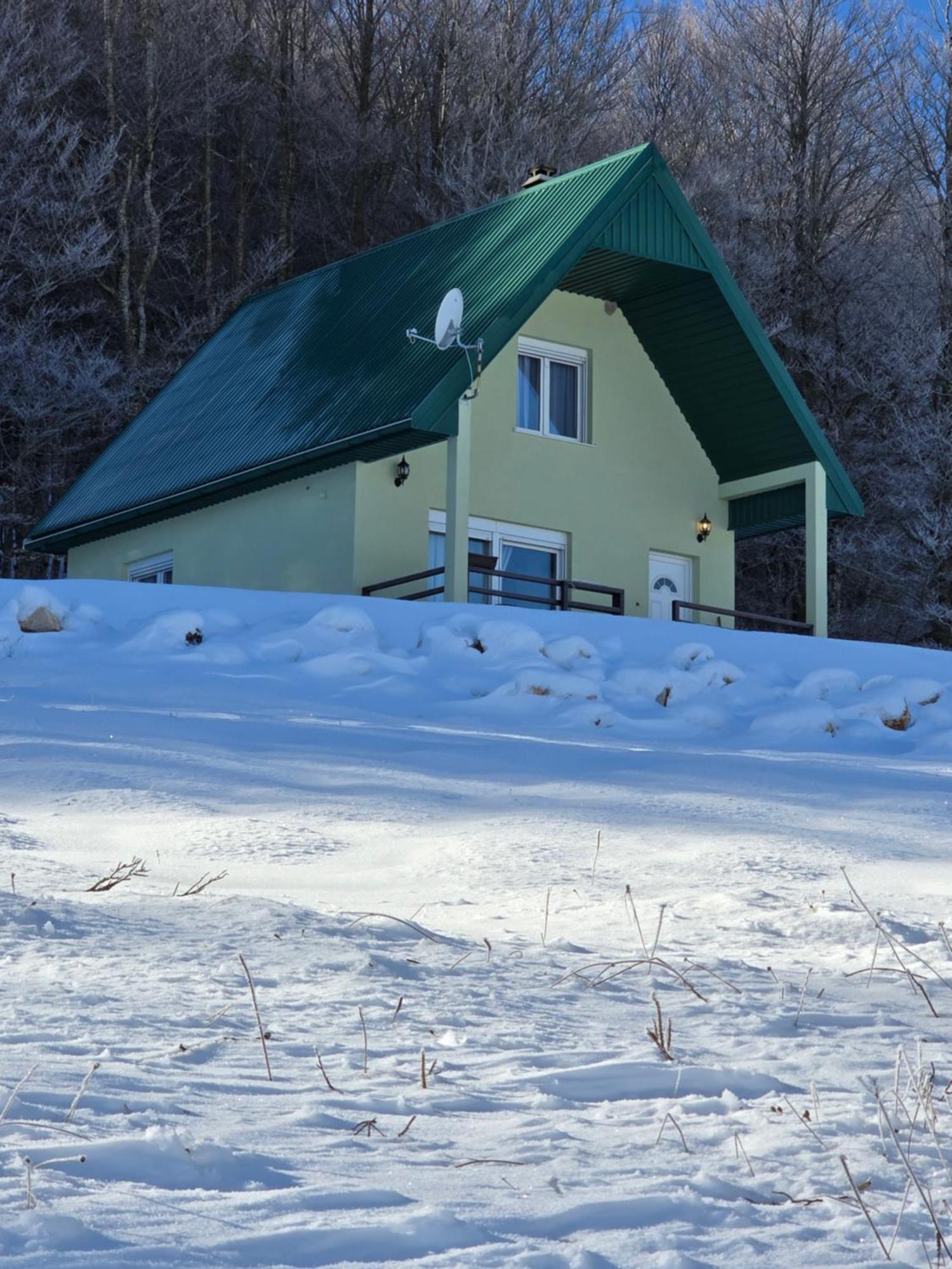 Dream House Brezna Holiday home Pluzine